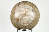 Polished Agatized Dinosaur (Gembone) Sphere - Morocco #198515-1
